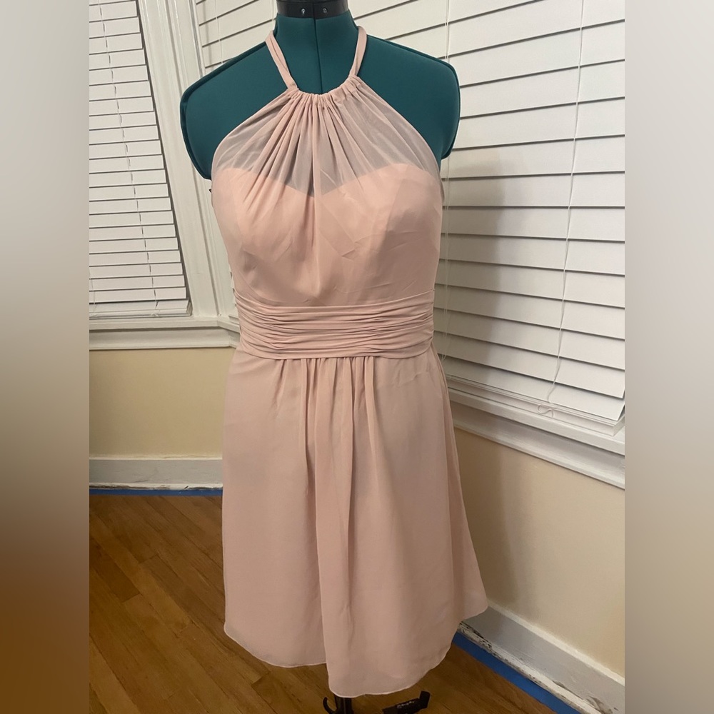 Sorella Vita Blush Chiffon Cocktail Dress